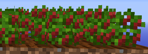 Chili Pepper Crop.png